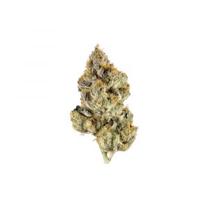 F1 X Zerbert - Hybrid - Top Shelf Exotic