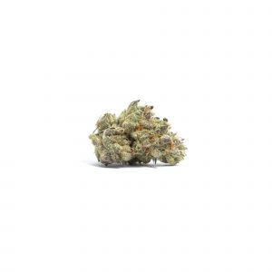 Jungle Boys Chocolate Chips 14g - Exotic Indoor Mediums