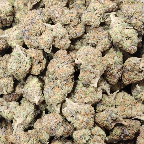 Mango Smoothie 14g - Greenhouse