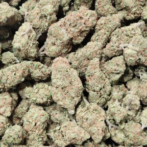 Super Silver Haze 14g - Greenhouse