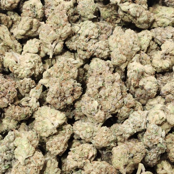 Skywalker OG 14g - Greenhouse