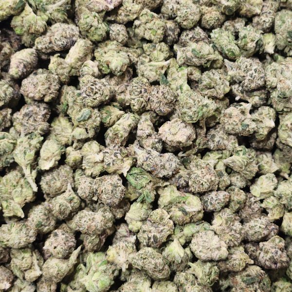 White Runtz 14g - Indoor Smalls