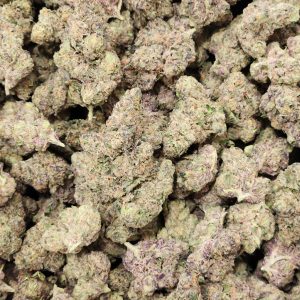 Agent Orange 14g - Top Shelf Indoor