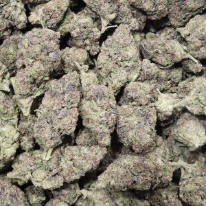 Ice Cream Gelato 14g - Light Deprivation