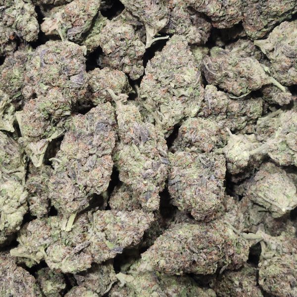 Ice Cream Gelato 14g - Light Deprivation