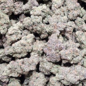 Jealousy 14g - Top Shelf Indoor