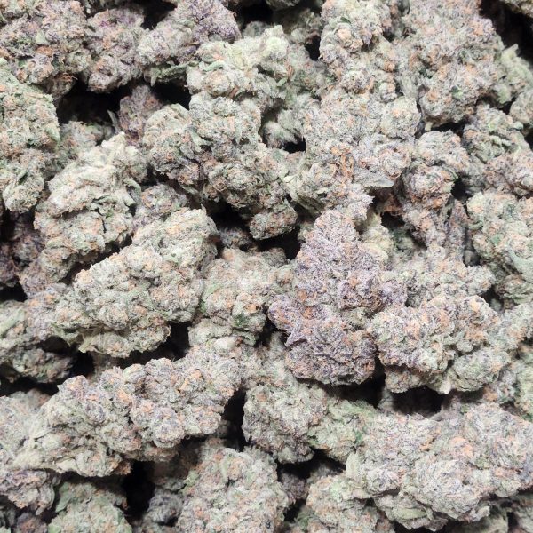 Jealousy 14g - Top Shelf Indoor