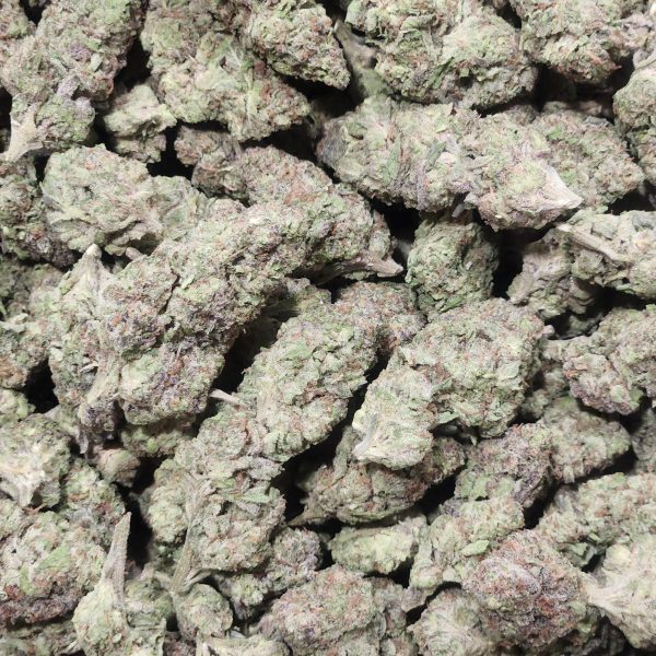Blue Steel 14g - Light Deprivation