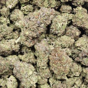 Biscotti Sherbert 14g - Greenhouse