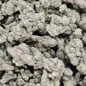 Galactic Warheads 14g - Top Shelf Indoor