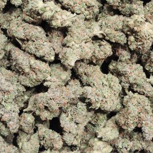 Jacked Up 14g - Greenhouse