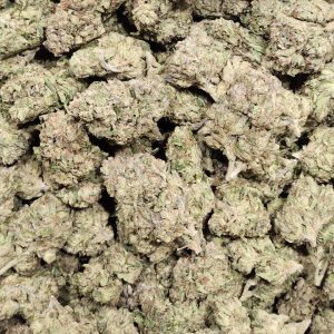 Obama Runtz 14g - Greenhouse