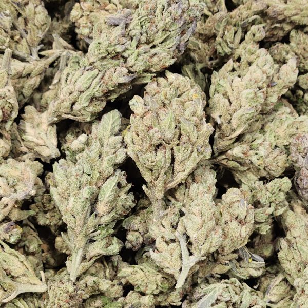 Raspberry Kush 14g - Light Deprivation