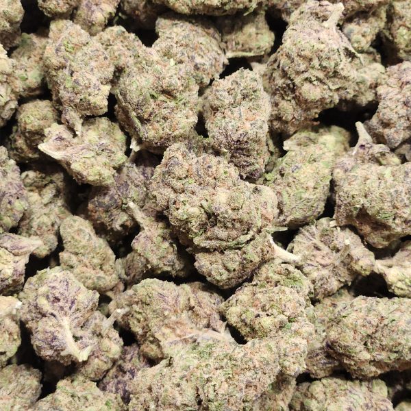 Blue Rockets 14g - Greenhouse