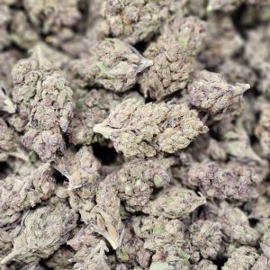 Strawberry Jack 14g - Greenhouse