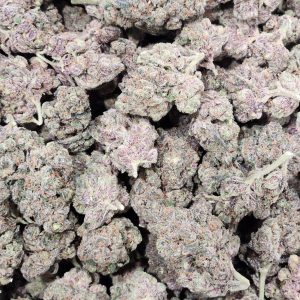 Gushers 14g - Top Shelf Indoor