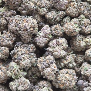 Biscotti 14g - Exotic Indoor