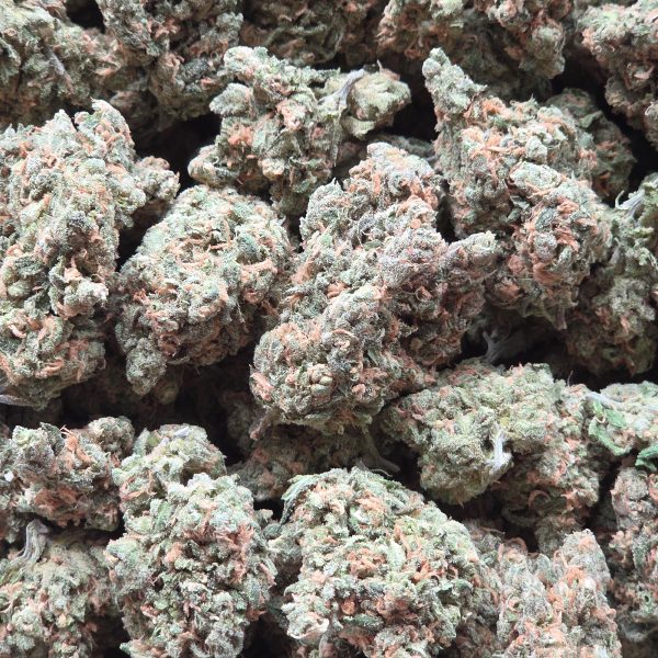 Blue Dream 14g - Top Shelf Indoor