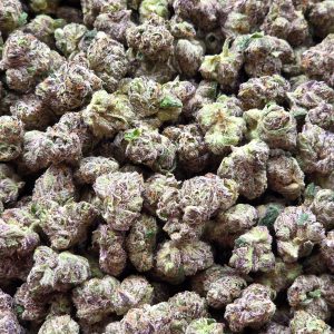 Candy Cake 14g - Exotic Indoor Mediums
