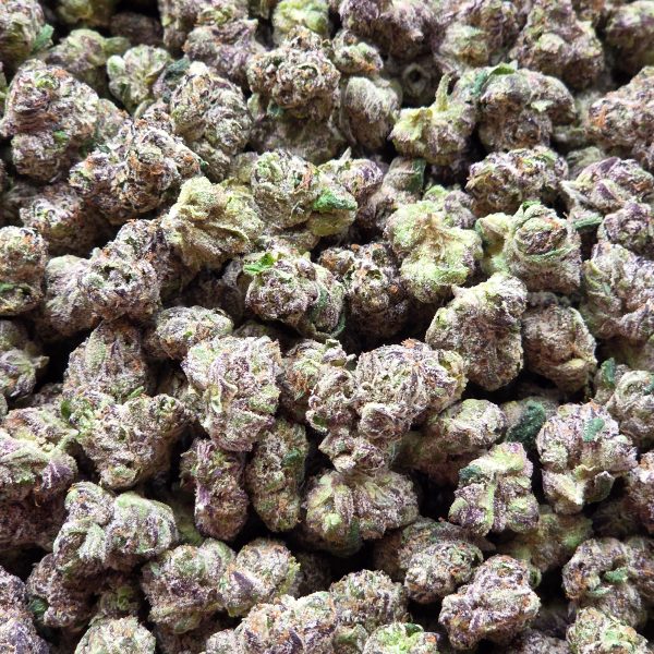Candy Cake 14g - Exotic Indoor Mediums