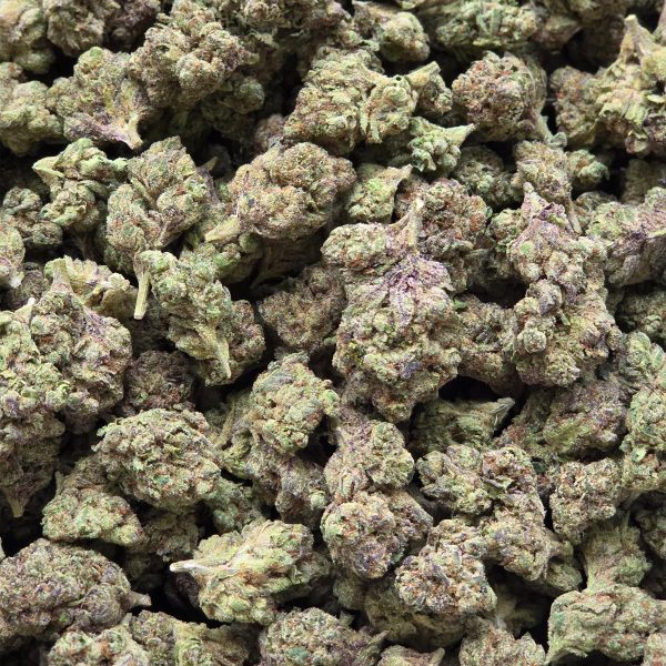 Candy Runtz 14g - Greenhouse