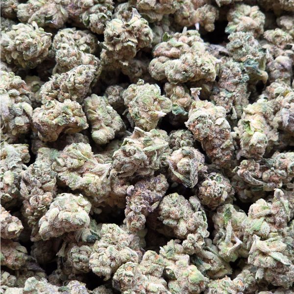 Hippie Crasher 14g - Exotic Indoor Mediums