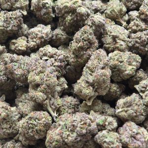 Purple Ice Cream 14g - Top Shelf Indoor