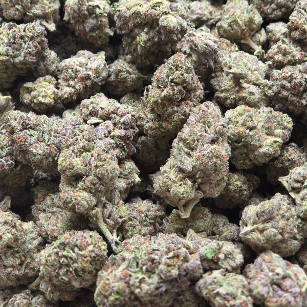 Purple Ice Cream 14g - Top Shelf Indoor