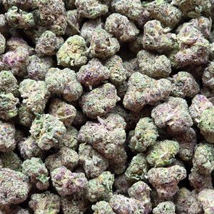RS1000 14g - Exotic Indoor Mediums
