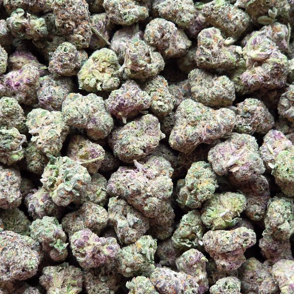 RS1000 14g - Exotic Indoor Mediums