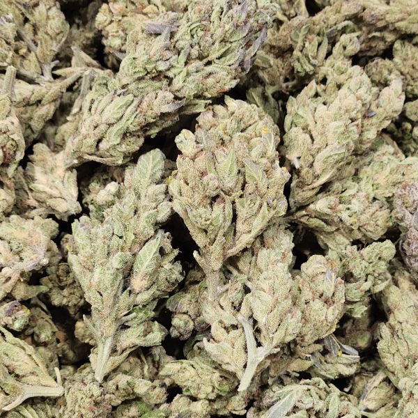 Raspberry Kush 14g - Light Deprivation