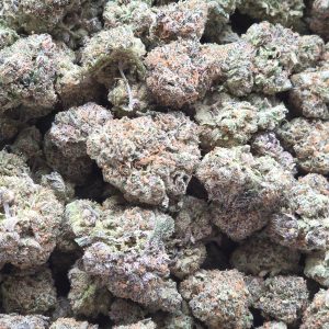 Runtz 14g - Exotic Indoor