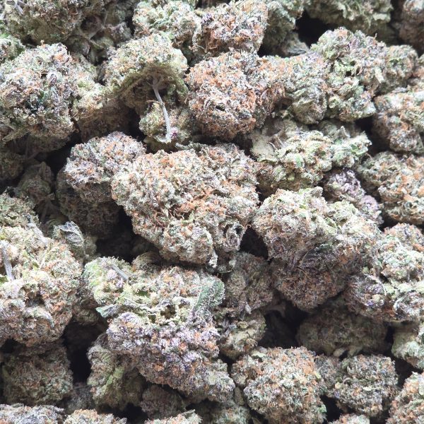 Runtz 14g - Exotic Indoor