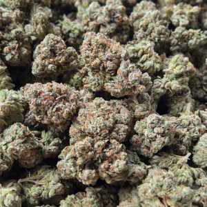 Skywalker OG 14g - Exotic Indoor