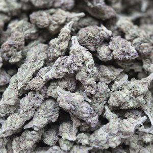 Snowcone 14g - Light Deprivation