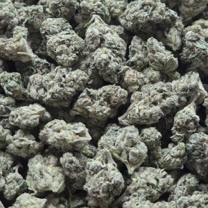 Original Glue 14g - Top Shelf Indoor