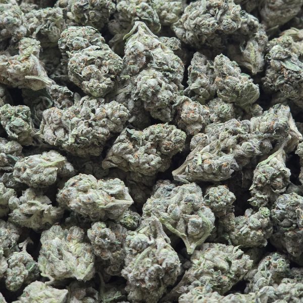 Original Glue 14g - Top Shelf Indoor
