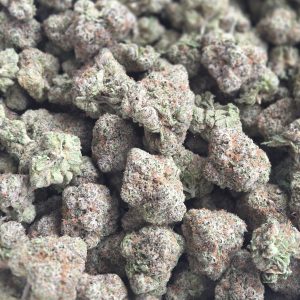Warheads 14g - Exotic Indoor