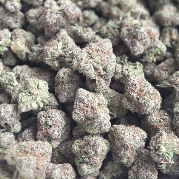 Warheads 14g - Exotic Indoor