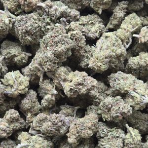 White Runtz 14g - Light Deprivation