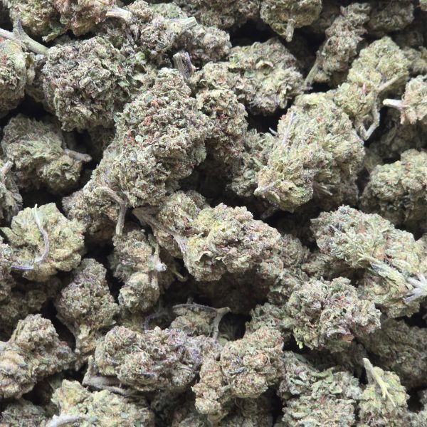 White Runtz 14g - Light Deprivation