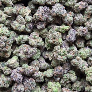 Blue Nerds 14g - Exotic Mediums