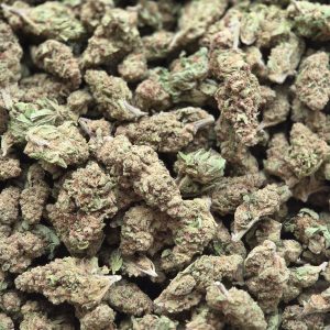 Gucci Fruit 14g - Greenhouse