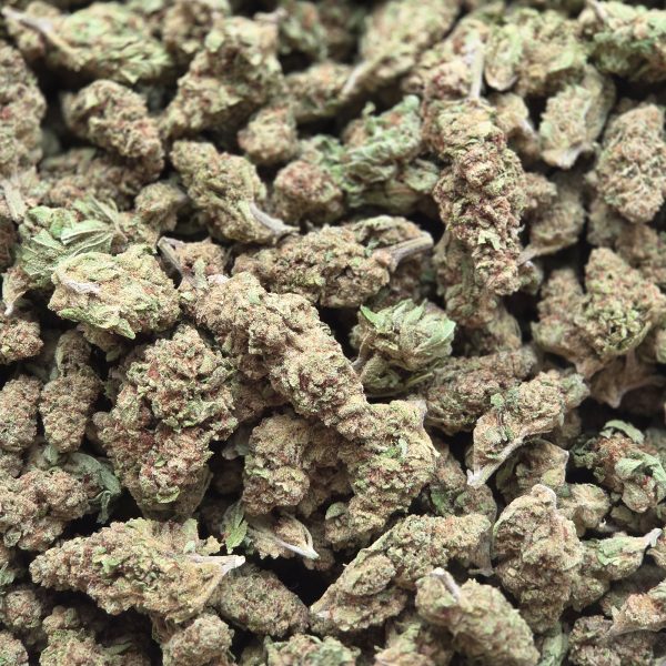 Gucci Fruit 14g - Greenhouse