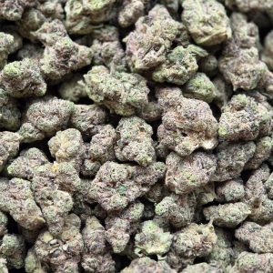 Dolato 14g - Top Shelf Indoor
