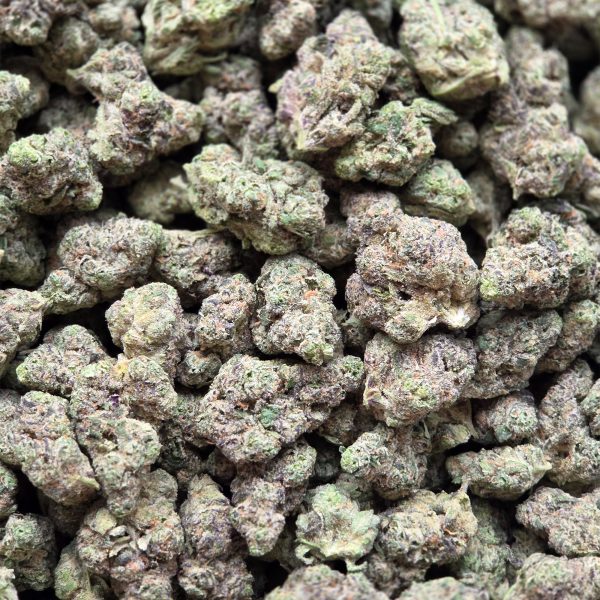 Dolato 14g - Top Shelf Indoor