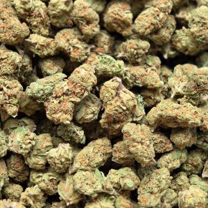 Super Silver Haze 14g - Top Shelf Indoor