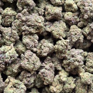 Silver Back OG 14g - Top Shelf Indoor