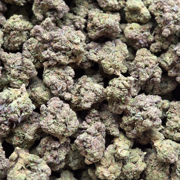 Silver Back OG 14g - Top Shelf Indoor