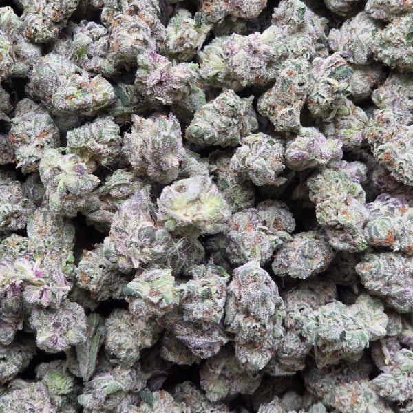 Vanilla Velvet 14g - Exotic Mediums